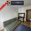 Apartament cu 3 camere | Tei | Facultatea de Constructii | Pet Friendly | thumb 8