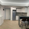 Inchiriere apartament 2 camere,  CortinaNorth Residences thumb 4