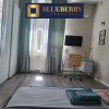 Casa, curte proprie, pet friendly, Dorobanti, Victoriei, Ultracentral thumb 5