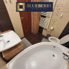 Casa, curte proprie, pet friendly, Dorobanti, Victoriei, Ultracentral thumb 6