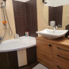 Casa, curte proprie, pet friendly, Dorobanti, Victoriei, Ultracentral thumb 7