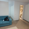 Studio de inchiriat in Cloud 9 Residence Pipera thumb 2