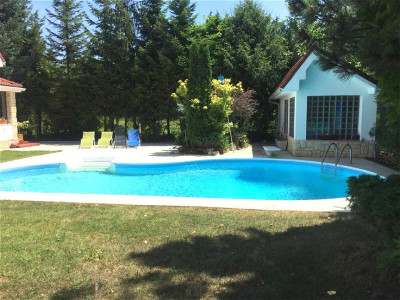 Vila Lux, 7 camere, mobilata si utilata, curte proprie, gradina, piscina, Pipera